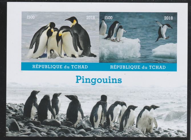 Chad 2018 Penguins imperf sheetlet containing 2 values unmounted mint. Note this item is privately produced and is offered purely on its thematic appeal. . , stamps on birds, stamps on penguins