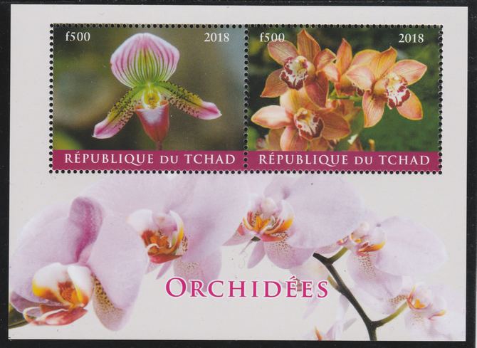 Chad 2018 Orchids perf sheetlet containing 2 values unmounted mint. Note this item is privately produced and is offered purely on its thematic appeal. . , stamps on , stamps on  stamps on flowers, stamps on  stamps on orchids