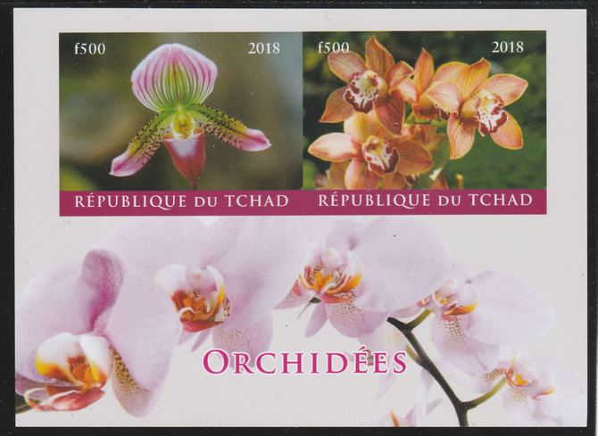 Chad 2018 Orchids imperf sheetlet containing 2 values unmounted mint. Note this item is privately produced and is offered purely on its thematic appeal. . , stamps on , stamps on  stamps on flowers, stamps on  stamps on orchids