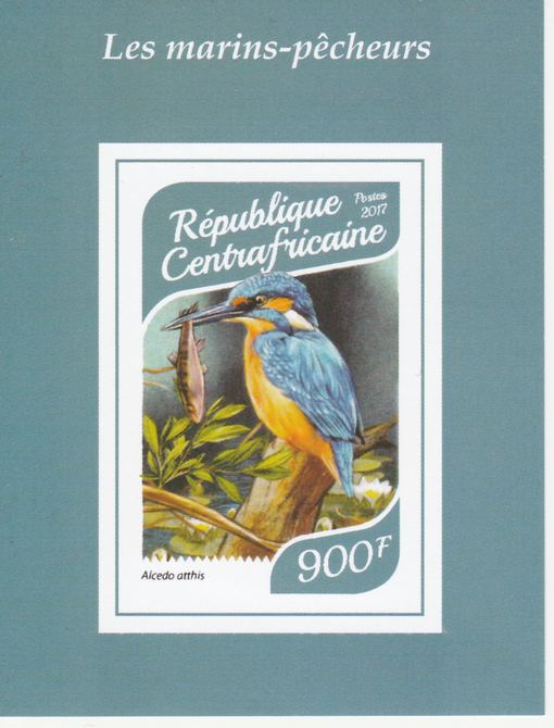 Central African Republic 2017 Birds - Kingfishers #4 imperf deluxe sheet unmounted mint. Note this item is privately produced and is offered purely on its thematic appeal., stamps on , stamps on  stamps on birds, stamps on  stamps on fish, stamps on  stamps on kingfishers