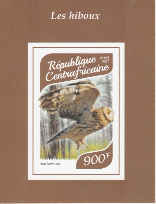 Central African Republic 2017 Owls #1 imperf deluxe sheet unmounted mint. Note this item is privately produced and is offered purely on its thematic appeal., stamps on birds, stamps on birds of prey, stamps on owls