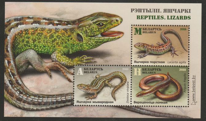 Belarus 2018 Reptiles perf m/sheet unmounted mint, stamps on , stamps on  stamps on reptiles