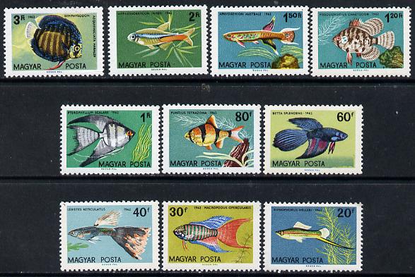 Hungary 1962 Ornamental Fish perf set of 10 unmounted mint, SG 1796-1805, Mi 1820-29 , stamps on , stamps on  stamps on fish     marine-life