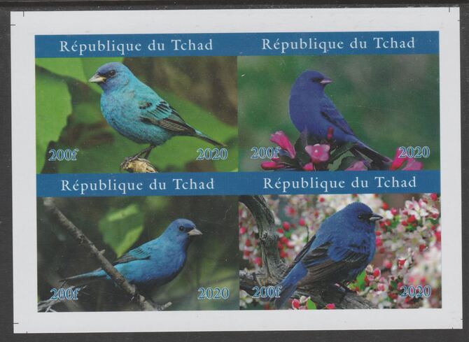 Chad 2020 The Bluebird imperf sheetlet containing 4 values unmounted mint. Note this item is privately produced and is offered purely on its thematic appeal, it has no po..., stamps on birds