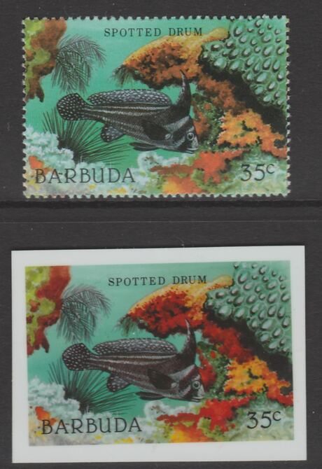 Barbuda 1987 Marine Life 35c Spotted Drum Fish die proof in all 4 colours on Cromalin plastic card complete with issued stamp (SG 964). Cromalin proofs are an essential p..., stamps on marine life, stamps on fish.