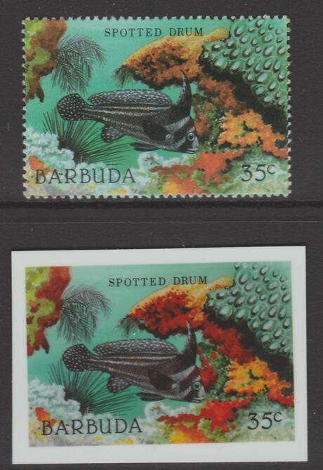 Barbuda 1987 Marine Life 35c Spotted Drum Fish die proof in all 4 colours on Cromalin plastic card complete with issued stamp (SG 964). Cromalin proofs are an essential part of the printing proces, produced in very limited numbers and rarely offered on the open market., stamps on , stamps on stamps on marine life, stamps on stamps on fish.