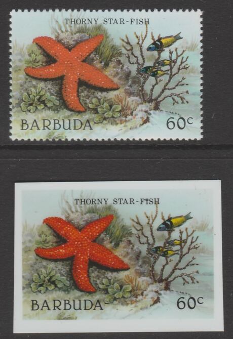 Barbuda 1987 Marine Life 60c Thorny Starfish die proof in all 4 colours on Cromalin plastic card complete with issued stamp (SG 965). Cromalin proofs are an essential par..., stamps on marine life, stamps on fish.
