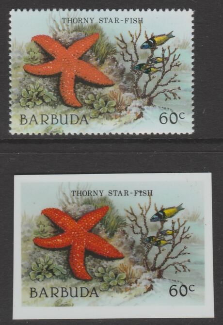 Barbuda 1987 Marine Life 60c Thorny Starfish die proof in all 4 colours on Cromalin plastic card complete with issued stamp (SG 965). Cromalin proofs are an essential part of the printing proces, produced in very limited numbers and rarely offered on the open market., stamps on , stamps on stamps on marine life, stamps on stamps on fish.