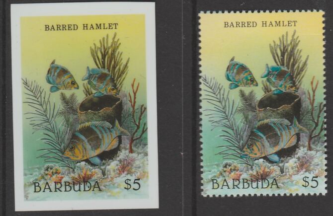 Barbuda 1987 Marine Life $5 Barred Hamlet die proof in all 4 colours on Cromalin plastic card complete with issued stamp (SG 970). Cromalin proofs are an essential part of the printing proces, produced in very limited numbers and rarely offered on the open market., stamps on , stamps on  stamps on marine life, stamps on  stamps on fish.