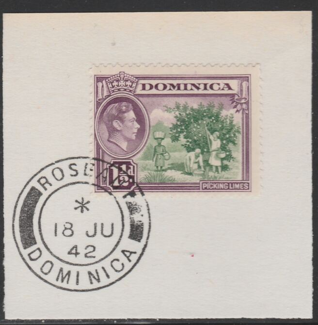 Dominica 1938-47 KG6 1.5d Picking Limes on piece with full strike of Madame Joseph forged postmark type 143, stamps on , stamps on  kg6 , stamps on fruit