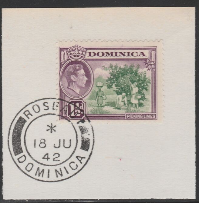 Dominica 1938-47 KG6 1.5d Picking Limes on piece with full strike of Madame Joseph forged postmark type 143, stamps on , stamps on  stamps on , stamps on  stamps on  kg6 , stamps on  stamps on fruit