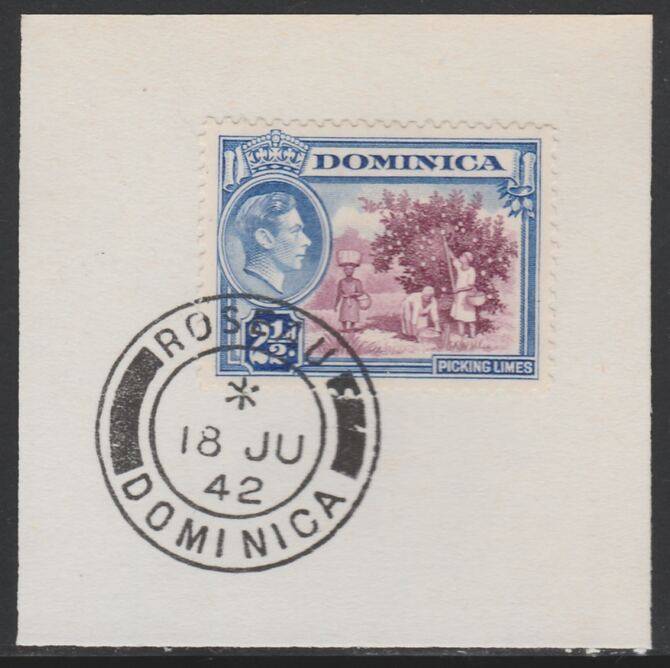 Dominica 1938-47 KG6 2.5d Picking Limes on piece with full strike of Madame Joseph forged postmark type 143, stamps on , stamps on  stamps on , stamps on  stamps on  kg6 , stamps on  stamps on fruit