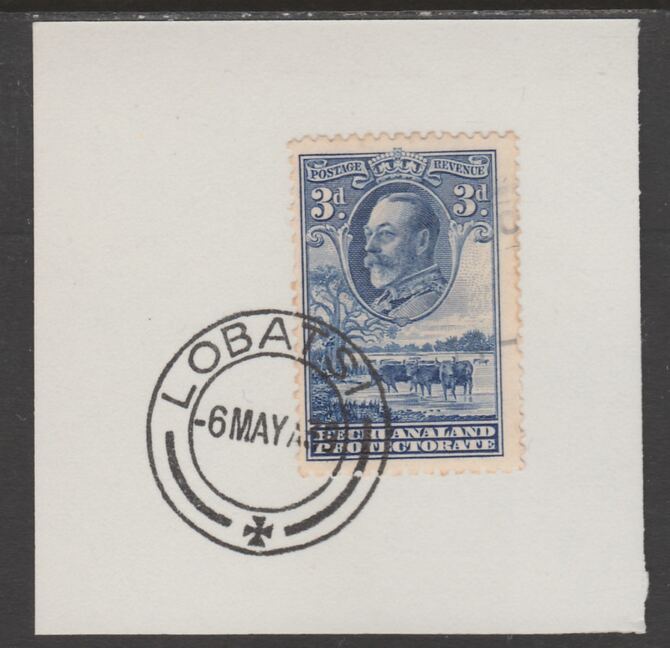 Bechuanaland 1932 KG5 Cattle 3d on piece cancelled with full strike of Madame Joseph forged postmark type 57, stamps on , stamps on  stamps on , stamps on  stamps on  kg5 , stamps on  stamps on forgeries, stamps on  stamps on cattle