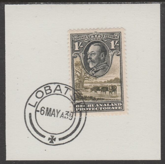 Bechuanaland 1932 KG5 Cattle 1s on piece cancelled with full strike of Madame Joseph forged postmark type 57, stamps on , stamps on  kg5 , stamps on forgeries, stamps on cattle