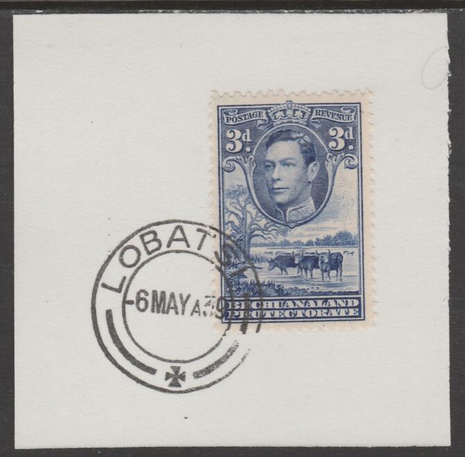 Bechuanaland 1938 KG6 Cattle 3d on piece cancelled with full strike of Madame Joseph forged postmark type 57, stamps on , stamps on  kg6 , stamps on forgeries, stamps on cattle