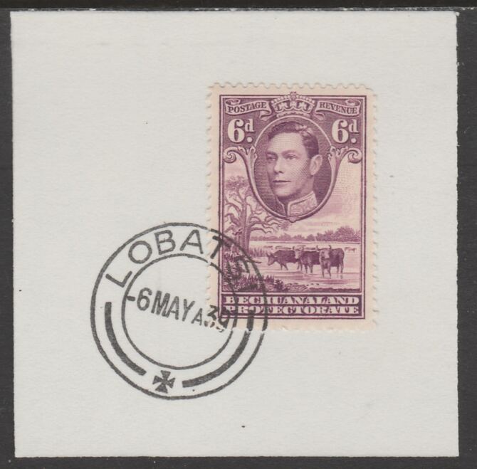 Bechuanaland 1938 KG6 Cattle 6d on piece cancelled with full strike of Madame Joseph forged postmark type 57, stamps on , stamps on  stamps on , stamps on  stamps on  kg6 , stamps on  stamps on forgeries, stamps on  stamps on cattle