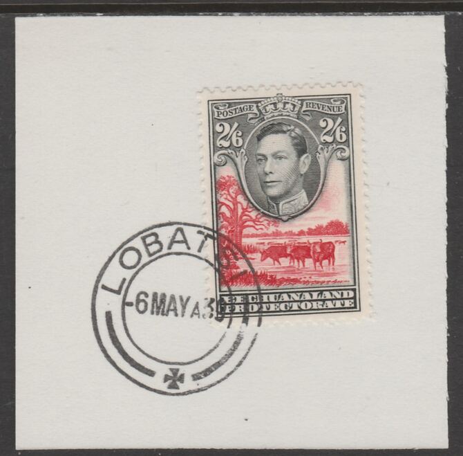 Bechuanaland 1938 KG6 Cattle 2s6d on piece cancelled with full strike of Madame Joseph forged postmark type 57, stamps on , stamps on  stamps on , stamps on  stamps on  kg6 , stamps on  stamps on forgeries, stamps on  stamps on cattle