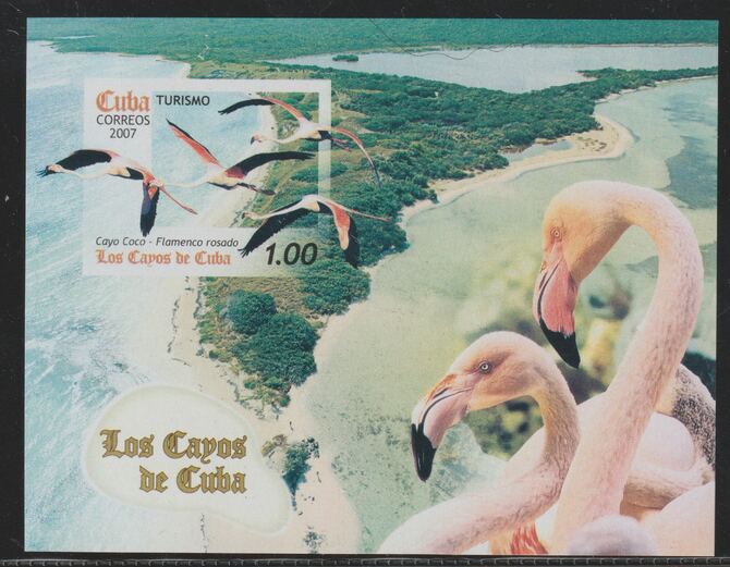 Cuba 2007 Tourism & Wildlife imperf m/sheet unmounted mint, SG MS5074, stamps on , stamps on  stamps on tourism, stamps on  stamps on flamingoes
