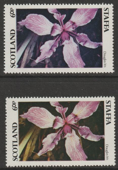 Staffa 1979 Irises - 60p perf single showing a superb shade apparently due to a dry print of the yellow complete with normal both unmounted mint, stamps on , stamps on  stamps on flowers, stamps on  stamps on irises
