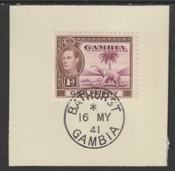 Gambia 1938-46 KG6 Elephant & Palm 1d on piece with full strike of Madame Joseph forged postmark type 174, stamps on , stamps on  stamps on elephants, stamps on  stamps on  kg6 , stamps on  stamps on trees, stamps on  stamps on forgeries