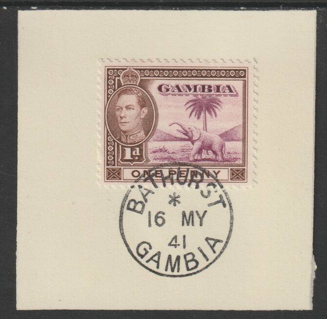 Gambia 1938-46 KG6 Elephant & Palm 1d on piece with full strike of Madame Joseph forged postmark type 174, stamps on elephants, stamps on  kg6 , stamps on trees, stamps on forgeries