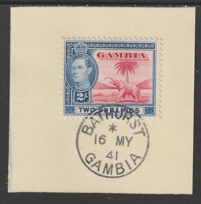 Gambia 1938-46 KG6 Elephant & Palm 2s on piece with full strike of Madame Joseph forged postmark type 174, stamps on , stamps on  stamps on elephants, stamps on  stamps on  kg6 , stamps on  stamps on trees, stamps on  stamps on forgeries