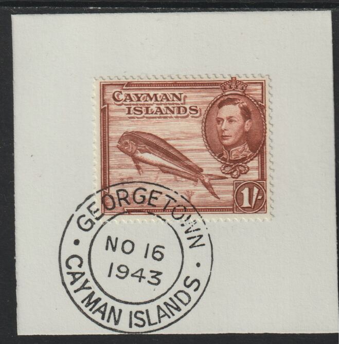 Cayman Islands 1938 KG6 Pictorial def 1s red-brown (Dolphin Fish) on piece with full strike of Madame Joseph forged postmark type 116 or 118, stamps on forgery, stamps on madame joseph