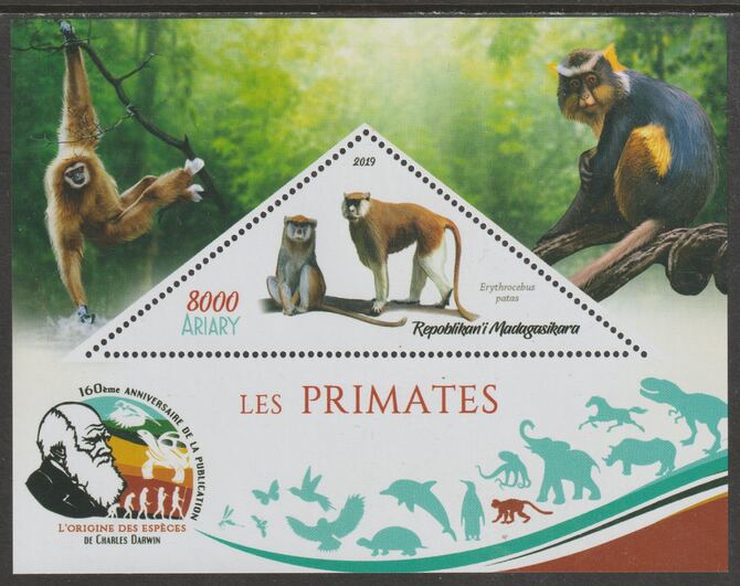 Madagascar 2019 Darwin 160th Anniversary of Publication of The Origin of Species - Primates #1 perf deluxe sheet containing one triangular value unmounted mint, stamps on , stamps on  stamps on triangular, stamps on  stamps on shaped, stamps on  stamps on darwin, stamps on  stamps on animals, stamps on  stamps on apes, stamps on  stamps on 