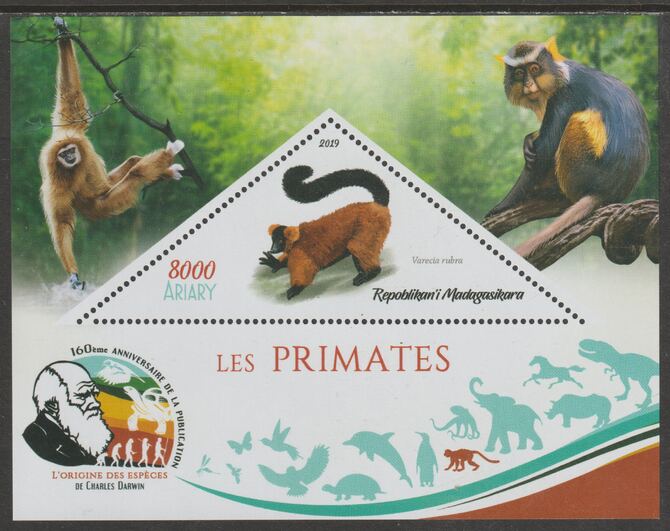 Madagascar 2019 Darwin 160th Anniversary of Publication of The Origin of Species - Primates #2 perf deluxe sheet containing one triangular value unmounted mint, stamps on triangular, stamps on shaped, stamps on darwin, stamps on animals, stamps on apes, stamps on 