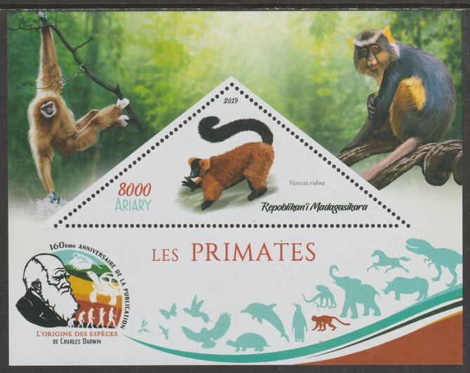 Madagascar 2019 Darwin 160th Anniversary of Publication of The Origin of Species - Primates #2 perf deluxe sheet containing one triangular value unmounted mint, stamps on , stamps on  stamps on triangular, stamps on  stamps on shaped, stamps on  stamps on darwin, stamps on  stamps on animals, stamps on  stamps on apes, stamps on  stamps on 