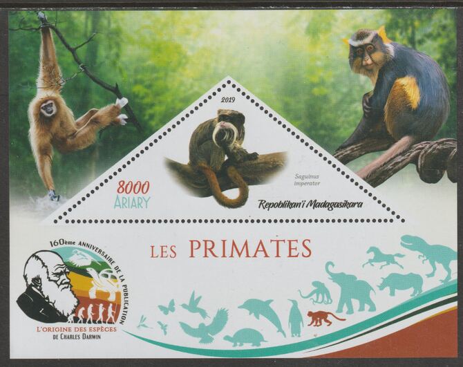 Madagascar 2019 Darwin 160th Anniversary of Publication of The Origin of Species - Primates #3 perf deluxe sheet containing one triangular value unmounted mint, stamps on , stamps on  stamps on triangular, stamps on  stamps on shaped, stamps on  stamps on darwin, stamps on  stamps on animals, stamps on  stamps on apes, stamps on  stamps on 