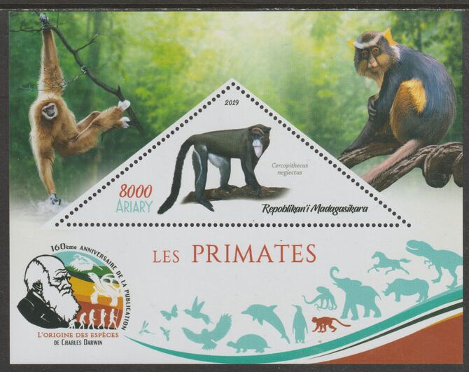 Madagascar 2019 Darwin 160th Anniversary of Publication of The Origin of Species - Primates #4 perf deluxe sheet containing one triangular value unmounted mint, stamps on , stamps on  stamps on triangular, stamps on  stamps on shaped, stamps on  stamps on darwin, stamps on  stamps on animals, stamps on  stamps on apes, stamps on  stamps on 