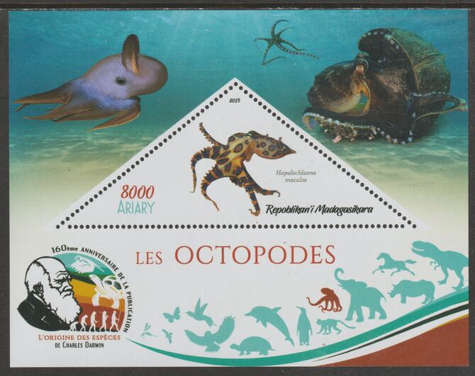 Madagascar 2019 Darwin 160th Anniversary of Publication of The Origin of Species - Octopus #1 perf deluxe sheet containing one triangular value unmounted mint, stamps on , stamps on  stamps on triangular, stamps on  stamps on shaped, stamps on  stamps on darwin, stamps on  stamps on marine life, stamps on  stamps on octopus