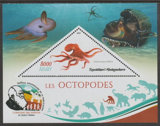 Madagascar 2019 Darwin 160th Anniversary of Publication of The Origin of Species - Octopus #2 perf deluxe sheet containing one triangular value unmounted mint, stamps on triangular, stamps on shaped, stamps on darwin, stamps on marine life, stamps on octopus