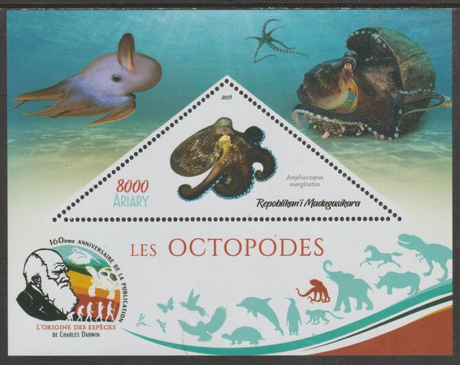 Madagascar 2019 Darwin 160th Anniversary of Publication of The Origin of Species - Octopus #3 perf deluxe sheet containing one triangular value unmounted mint, stamps on , stamps on  stamps on triangular, stamps on  stamps on shaped, stamps on  stamps on darwin, stamps on  stamps on marine life, stamps on  stamps on octopus