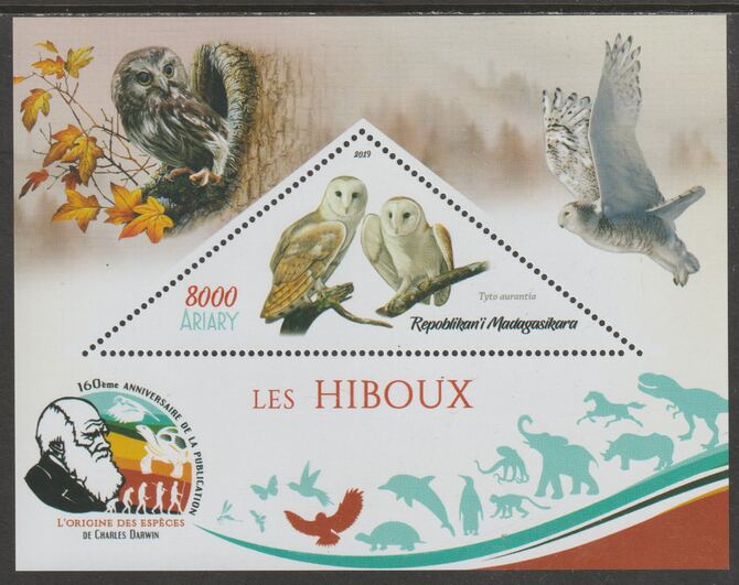 Madagascar 2019 Darwin 160th Anniversary of Publication of The Origin of Species - Owls #3 perf deluxe sheet containing one triangular value unmounted mint, stamps on , stamps on  stamps on triangular, stamps on  stamps on shaped, stamps on  stamps on darwin, stamps on  stamps on birds, stamps on  stamps on birds of prey, stamps on  stamps on owls