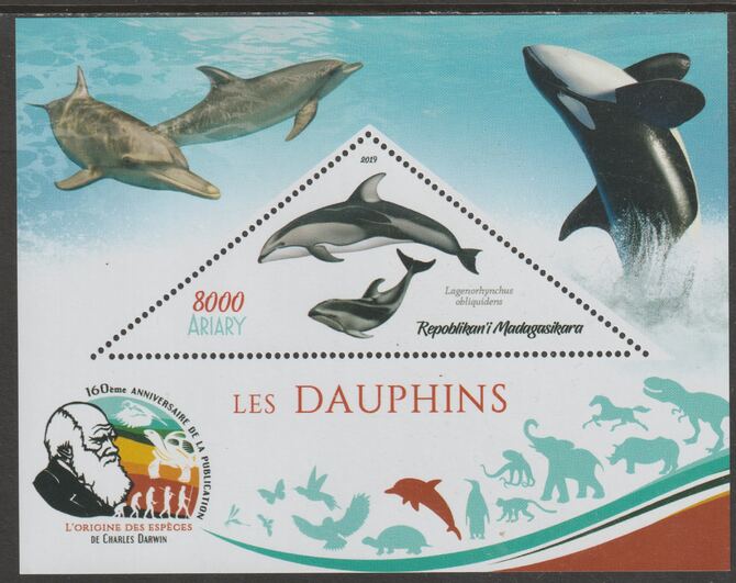 Madagascar 2019 Darwin 160th Anniversary of Publication of The Origin of Species - Dolphins #1 perf deluxe sheet containing one triangular value unmounted mint, stamps on , stamps on  stamps on triangular, stamps on  stamps on shaped, stamps on  stamps on darwin, stamps on  stamps on marine life, stamps on  stamps on dolphins