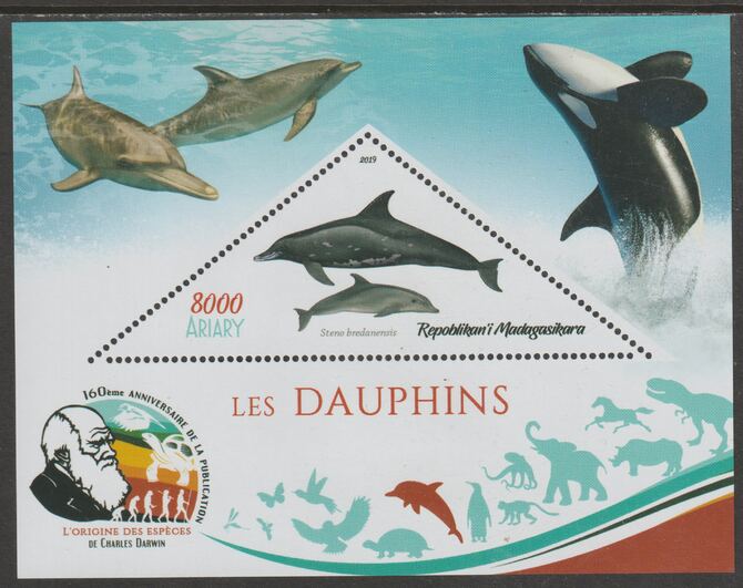 Madagascar 2019 Darwin 160th Anniversary of Publication of The Origin of Species - Dolphins #2 perf deluxe sheet containing one triangular value unmounted mint, stamps on , stamps on  stamps on triangular, stamps on  stamps on shaped, stamps on  stamps on darwin, stamps on  stamps on marine life, stamps on  stamps on dolphins