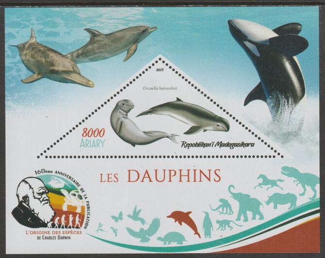 Madagascar 2019 Darwin 160th Anniversary of Publication of The Origin of Species - Dolphins #3 perf deluxe sheet containing one triangular value unmounted mint, stamps on , stamps on  stamps on triangular, stamps on  stamps on shaped, stamps on  stamps on darwin, stamps on  stamps on marine life, stamps on  stamps on dolphins