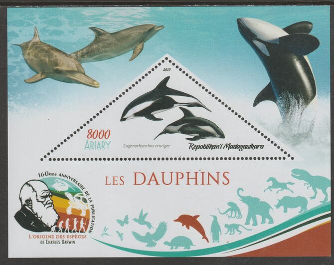 Madagascar 2019 Darwin 160th Anniversary of Publication of The Origin of Species - Dolphins #4 perf deluxe sheet containing one triangular value unmounted mint, stamps on triangular, stamps on shaped, stamps on darwin, stamps on marine life, stamps on dolphins