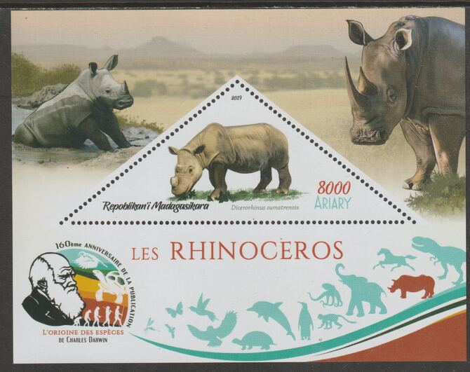 Madagascar 2019 Darwin 160th Anniversary of Publication of The Origin of Species - Rhinos #1 perf deluxe sheet containing one triangular value unmounted mint, stamps on , stamps on  stamps on triangular, stamps on  stamps on shaped, stamps on  stamps on darwin, stamps on  stamps on animals, stamps on  stamps on rhinos, stamps on  stamps on 