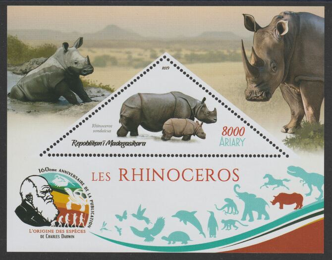 Madagascar 2019 Darwin 160th Anniversary of Publication of The Origin of Species - Rhinos #2 perf deluxe sheet containing one triangular value unmounted mint, stamps on triangular, stamps on shaped, stamps on darwin, stamps on animals, stamps on rhinos, stamps on 