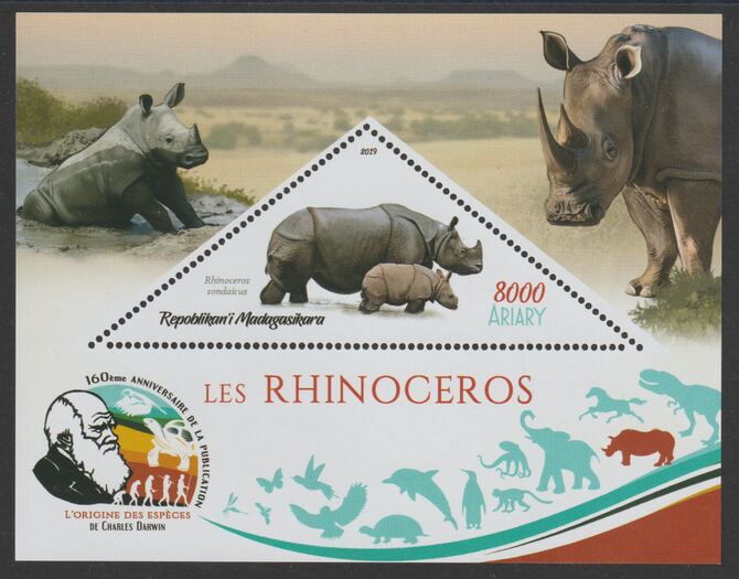 Madagascar 2019 Darwin 160th Anniversary of Publication of The Origin of Species - Rhinos #2 perf deluxe sheet containing one triangular value unmounted mint, stamps on , stamps on  stamps on triangular, stamps on  stamps on shaped, stamps on  stamps on darwin, stamps on  stamps on animals, stamps on  stamps on rhinos, stamps on  stamps on 