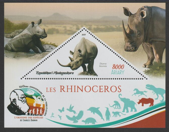 Madagascar 2019 Darwin 160th Anniversary of Publication of The Origin of Species - Rhinos #3 perf deluxe sheet containing one triangular value unmounted mint, stamps on , stamps on  stamps on triangular, stamps on  stamps on shaped, stamps on  stamps on darwin, stamps on  stamps on animals, stamps on  stamps on rhinos, stamps on  stamps on 