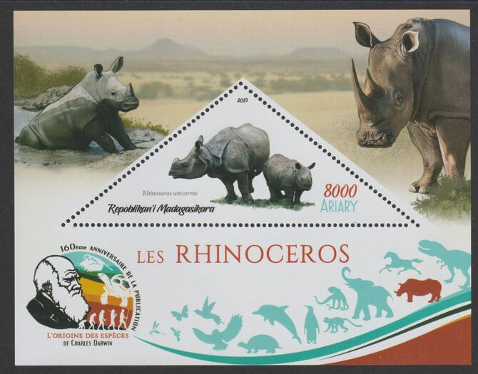 Madagascar 2019 Darwin 160th Anniversary of Publication of The Origin of Species - Rhinos #4 perf deluxe sheet containing one triangular value unmounted mint, stamps on , stamps on  stamps on triangular, stamps on  stamps on shaped, stamps on  stamps on darwin, stamps on  stamps on animals, stamps on  stamps on rhinos, stamps on  stamps on 