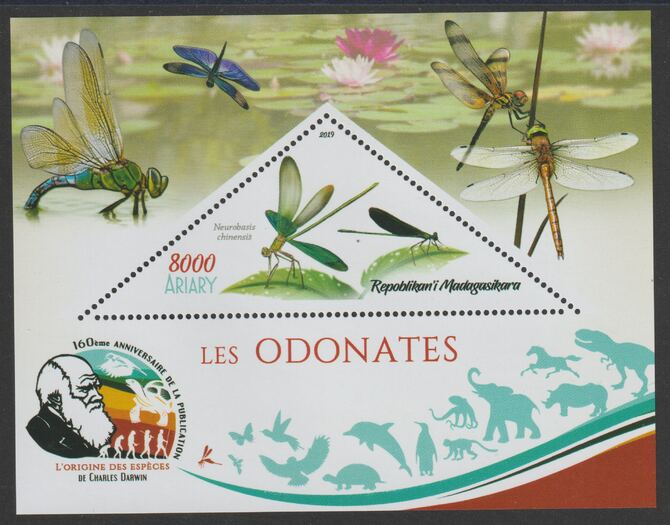 Madagascar 2019 Darwin 160th Anniversary of Publication of The Origin of Species - Dragon Flies #2 perf deluxe sheet containing one triangular value unmounted mint, stamps on triangular, stamps on shaped, stamps on darwin, stamps on insects, stamps on dragon flies