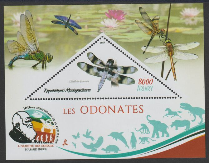Madagascar 2019 Darwin 160th Anniversary of Publication of The Origin of Species - Dragon Flies #3 perf deluxe sheet containing one triangular value unmounted mint, stamps on triangular, stamps on shaped, stamps on darwin, stamps on insects, stamps on dragon flies