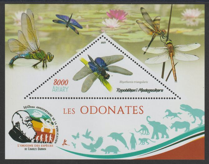 Madagascar 2019 Darwin 160th Anniversary of Publication of The Origin of Species - Dragon Flies #4 perf deluxe sheet containing one triangular value unmounted mint, stamps on triangular, stamps on shaped, stamps on darwin, stamps on insects, stamps on dragon flies