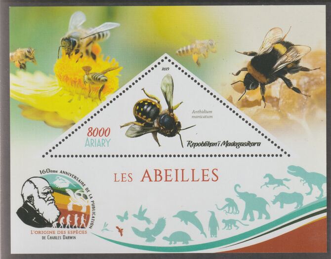 Madagascar 2019 Darwin 160th Anniversary of Publication of The Origin of Species - Bees #3 perf deluxe sheet containing one triangular value unmounted mint, stamps on , stamps on  stamps on triangular, stamps on  stamps on shaped, stamps on  stamps on darwin, stamps on  stamps on insects, stamps on  stamps on bees