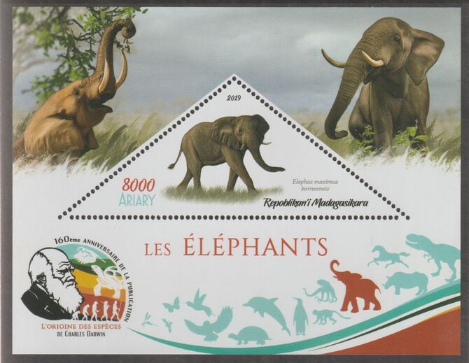 Madagascar 2019 Darwin 160th Anniversary of Publication of The Origin of Species - Elephants #2 perf deluxe sheet containing one triangular value unmounted mint, stamps on triangular, stamps on shaped, stamps on darwin, stamps on animals, stamps on elephants